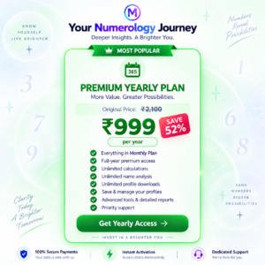 Premium Yearly Paln